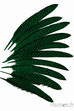 Zilverfazant - 20-25 cm - smaragdgroen-zwart